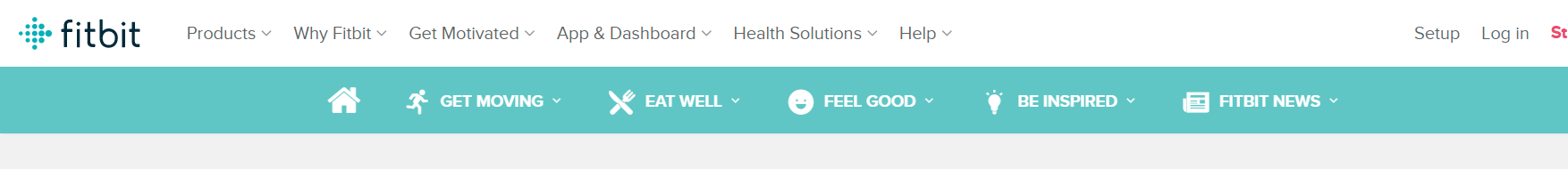 fitbit